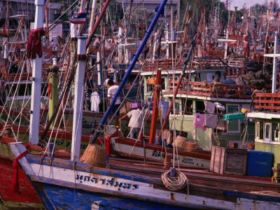 Fishing Vessels In Southern Thai Port, Thailand by Chris Mellor Pricing Limited Edition Print image