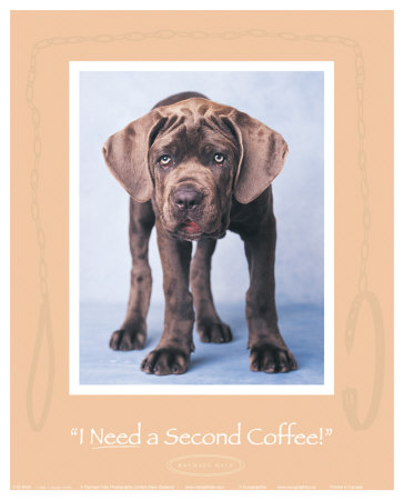 I Need A Second Coffee by Rachael Hale Pricing Limited Edition Print image