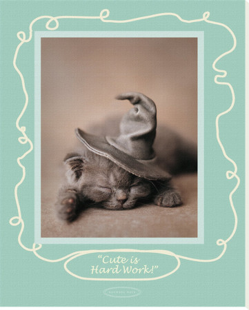 Cute Is Hard Work by Rachael Hale Pricing Limited Edition Print image