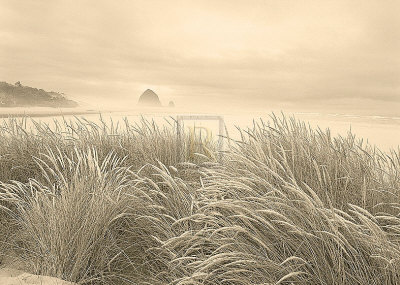 Dune Breeze by Adam Brock Pricing Limited Edition Print image