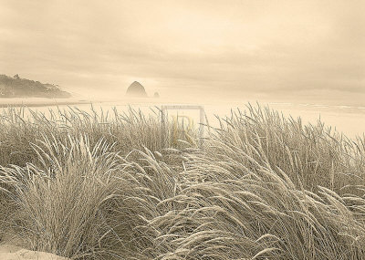 Dune Breeze by Adam Brock Pricing Limited Edition Print image