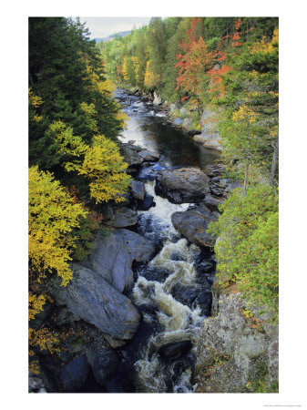 The Pleasant River In Maine by Sam Abell Pricing Limited Edition Print image