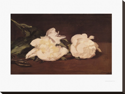 Branch Of White Peonies And Secateurs, 1864 by Édouard Manet Pricing Limited Edition Print image