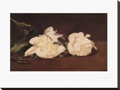 Branch Of White Peonies And Secateurs, 1864 by Edouard Manet Pricing Limited Edition Print image