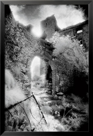 Ballynalacklan Castle by Simon Marsden Pricing Limited Edition Print image