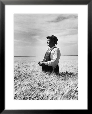Farmer Posing In His Wheat Field by Ed Clark Pricing Limited Edition Print image