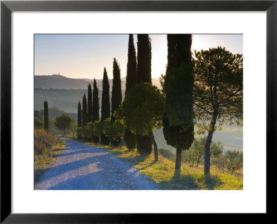 Country Road Towards Pienza, Val D' Orcia, Tuscany, Italy by Doug Pearson Pricing Limited Edition Print image
