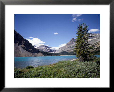 Bow Lake With Bow Glacier Behind, Icefields Parkway, Banff National Park, Alberta by Geoff Renner Pricing Limited Edition Print image