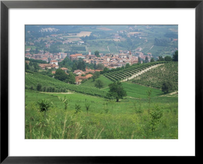 Vineyards Around Dogliani, The Langhe, Piedmont, Italy by Sheila Terry Pricing Limited Edition Print image