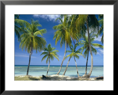 Tropical Landscape Of Palm Trees At Pigeon Point On The Island Of Tobago, Caribbean by John Miller Pricing Limited Edition Print image