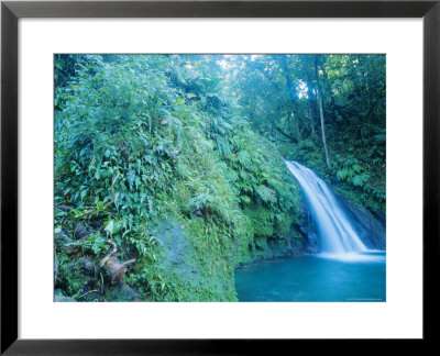 Waterfall, Guadeloupe, French Antilles, Caribbean by J P De Manne Pricing Limited Edition Print image