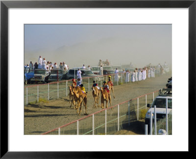 Camel Race Course, Mudaibi, Oman, Middle East by J P De Manne Pricing Limited Edition Print image