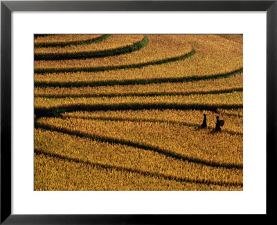 Ethnic Black H'mong, Sapa, Lao Cai, Vietnam by Stu Smucker Pricing Limited Edition Print image