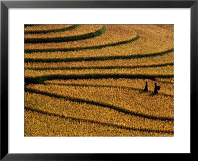 Ethnic Black H'mong, Sapa, Lao Cai, Vietnam by Stu Smucker Pricing Limited Edition Print image