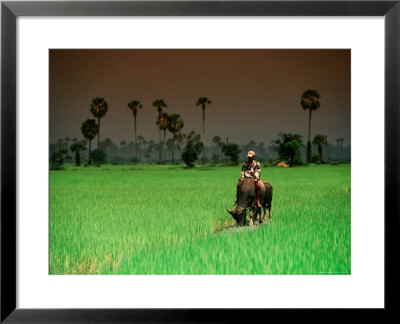 Boy On Buffalo In Rice Field by Antony Giblin Pricing Limited Edition Print image