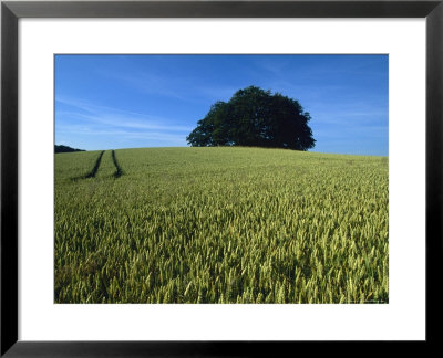 Denmark: A Wheat Field In Denmark, An Ancient Burial Ground by Brimberg & Coulson Pricing Limited Edition Print image