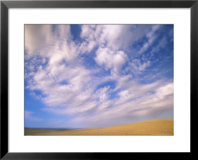 Cumulus Clouds Boiling Over A Wyoming Prairie In Late Summer by John Eastcott & Yva Momatiuk Pricing Limited Edition Print image