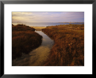 Tidal Creek Through Salt Marsh Grasses by Raymond Gehman Pricing Limited Edition Print image