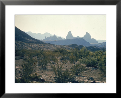 Great Chihuahua Desert With Chisos Mountains And Mt Amory At Big Bend National Park by Ralph Crane Pricing Limited Edition Print image