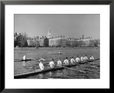 Crew Rowing On Charles River Across From Harvard University Campus by Alfred Eisenstaedt Pricing Limited Edition Print image