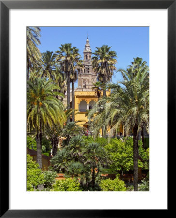 Giralda Tower Seen From Alcazar Gardens, Seville, Spain by Alan Copson Pricing Limited Edition Print image