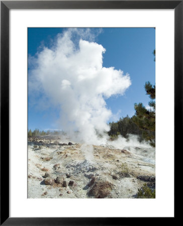 Norris Geysers, Yellowstone National Park, Unesco World Heritage Site, Wyoming, Usa by Ethel Davies Pricing Limited Edition Print image