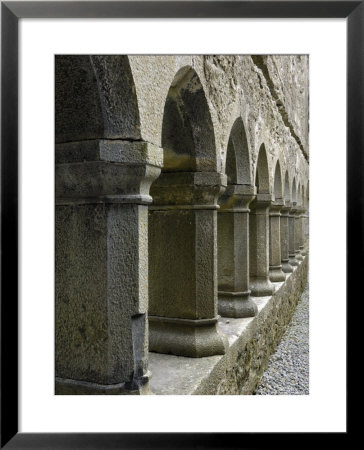 Cloister, Ross Errilly Franciscan Friary, Near Headford, County Galway, Connacht, Ireland by Gary Cook Pricing Limited Edition Print image