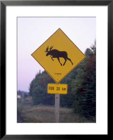 Sign, Moose Crossing The Road, Algonquin Provincial Park, Ontario, Canada by Thorsten Milse Pricing Limited Edition Print image