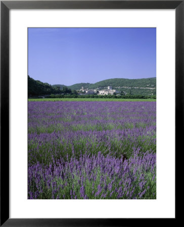 Lavender Fields And The Village Of Montclus, Gard, Languedoc-Roussillon, France by Ruth Tomlinson Pricing Limited Edition Print image