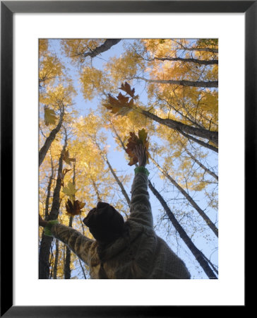 Girl Throws Leaves In The Air To Celebrate Autumn, Vashon Island, Washington State by Aaron Mccoy Pricing Limited Edition Print image