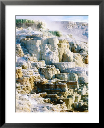Canary Spring At Mammoth Hot Springs, Yellowstone National Park, Wyoming by Holger Leue Pricing Limited Edition Print image