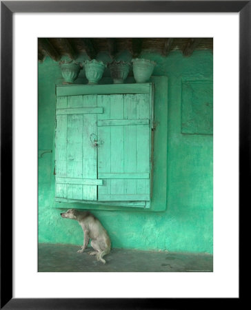 Dog Scratching Himself Against A Window Ledge by Gavin Quirke Pricing Limited Edition Print image