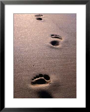 Footprints In The Sand Of Eco Beach, South Of Broome, Broome, Australia by Trevor Creighton Pricing Limited Edition Print image