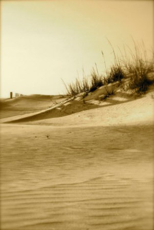 Anastasia Dunes I by Rene Griffith Pricing Limited Edition Print image