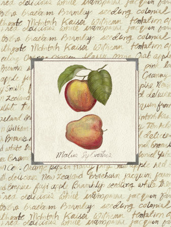 Apples by Elizabeth Garrett Pricing Limited Edition Print image