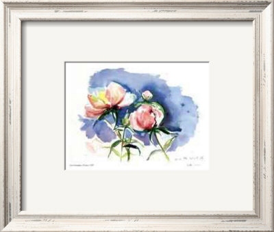 Peonies by Lynn Donoghue Pricing Limited Edition Print image