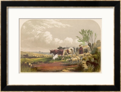 Drover And His Donkey Leads His Sheep And Cattle To Graze On Common Land by F. Lydon Pricing Limited Edition Print image
