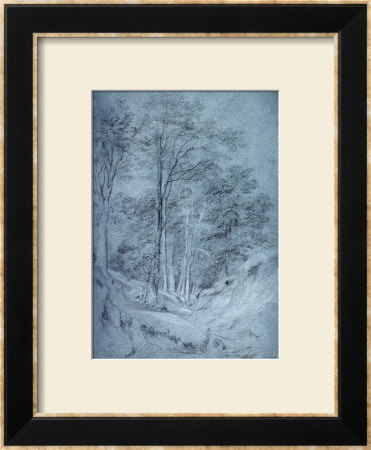 Study Of Ash And Other Trees (Pencil On Paper, Heightened With White Chalk) by John Constable Pricing Limited Edition Print image