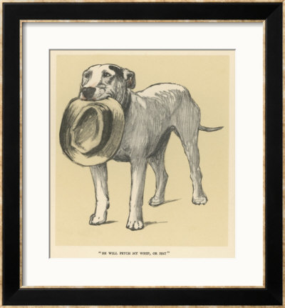 Dog Trained To Fetch His Master's Hat by Cecil Aldin Pricing Limited Edition Print image
