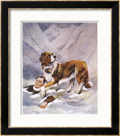 Saint Bernard Finds A Man Trapped In The Snow by A. Scott Rankin Pricing Limited Edition Print image