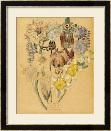Mont Louis, Flower Study, 1925 by Charles Rennie Mackintosh Pricing Limited Edition Print image