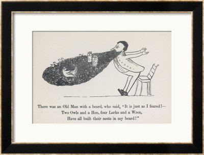The Old Man Whose Beard Is Used As A Nesting Ground For Owls Hens Larks And Wrens by Edward Lear Pricing Limited Edition Print image