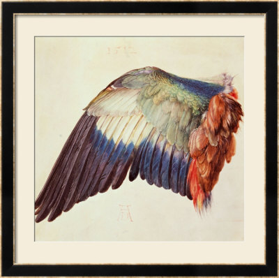 Wing Of A Blue Roller, 1512 by Albrecht Durer Pricing Limited Edition Print image