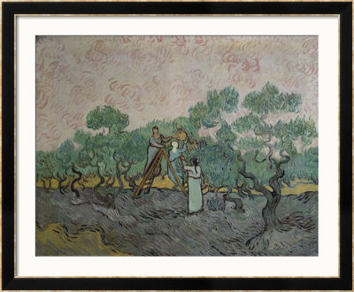 The Olive Pickers, Saint-Remy, C.1889 by Vincent Van Gogh Pricing Limited Edition Print image