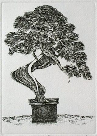 Bonzai Iii by Marc Jurt Pricing Limited Edition Print image