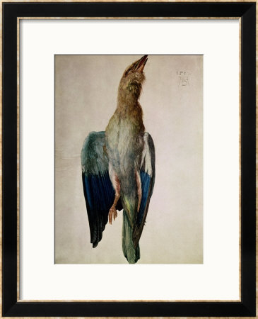 Blue Crow, 1512 by Albrecht Dürer Pricing Limited Edition Print image