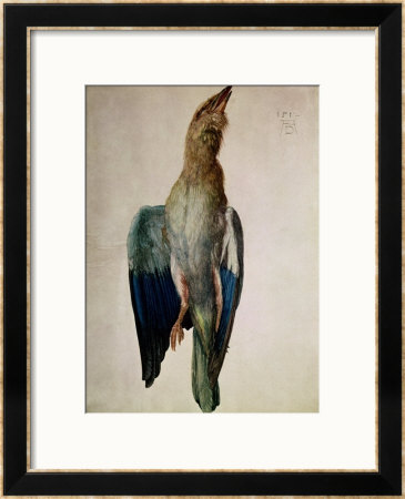 Blue Crow, 1512 by Albrecht Durer Pricing Limited Edition Print image