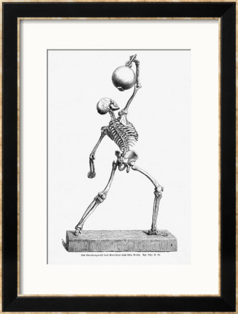 Skeleton In Movement by Christian Roth Pricing Limited Edition Print image
