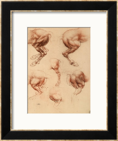 Study Of Running Horses, Drawing, Royal Library, Windsor by Leonardo Da Vinci Pricing Limited Edition Print image