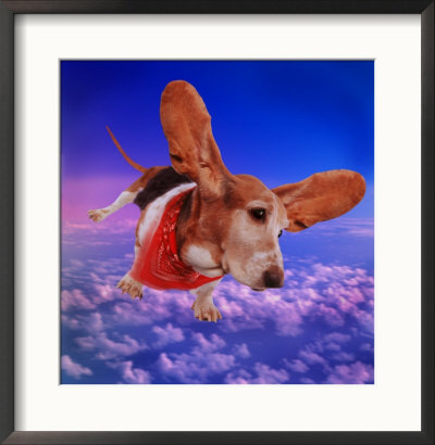 Basset Hound In Space by Jim Mcguire Pricing Limited Edition Print image